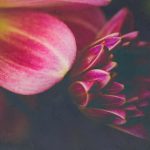 皇都国际官网使用指南如何快速获取最新资讯与帮助 2e51ps699x